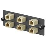 FAP6WBLSC参考图片