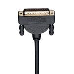 P456-006参考图片