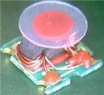 MABA-009210-CT1760参考图片