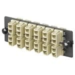 FAP12WEIDLC参考图片