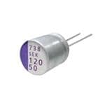 25SEK470M参考图片