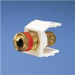 NKBPRWHY参考图片