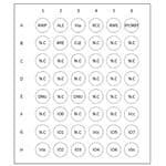 W29N01HVDINA TR参考图片