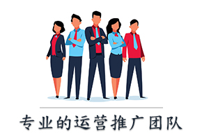 专业的运营推广团队